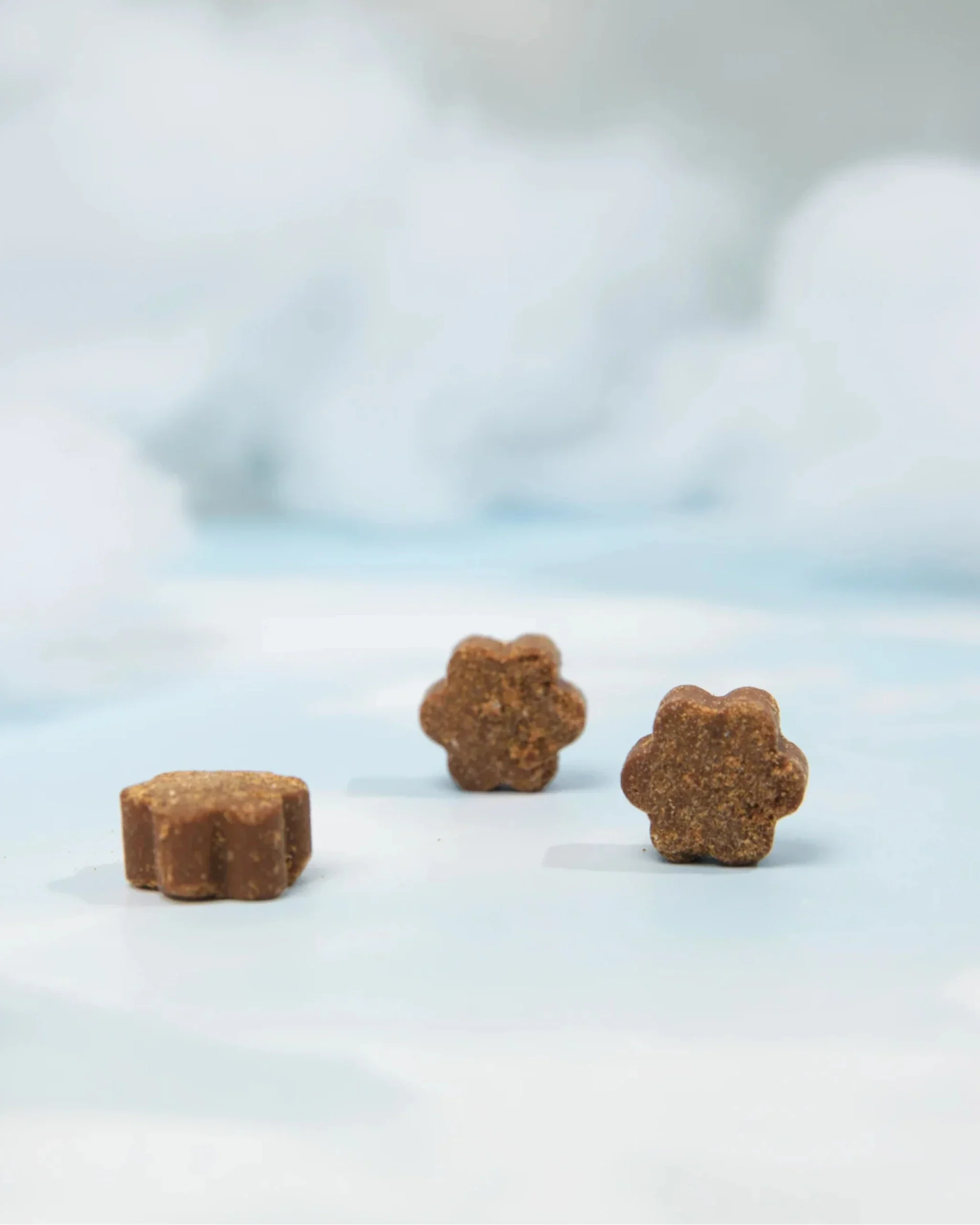 Daily Multivitamin (Beef) - Image 4